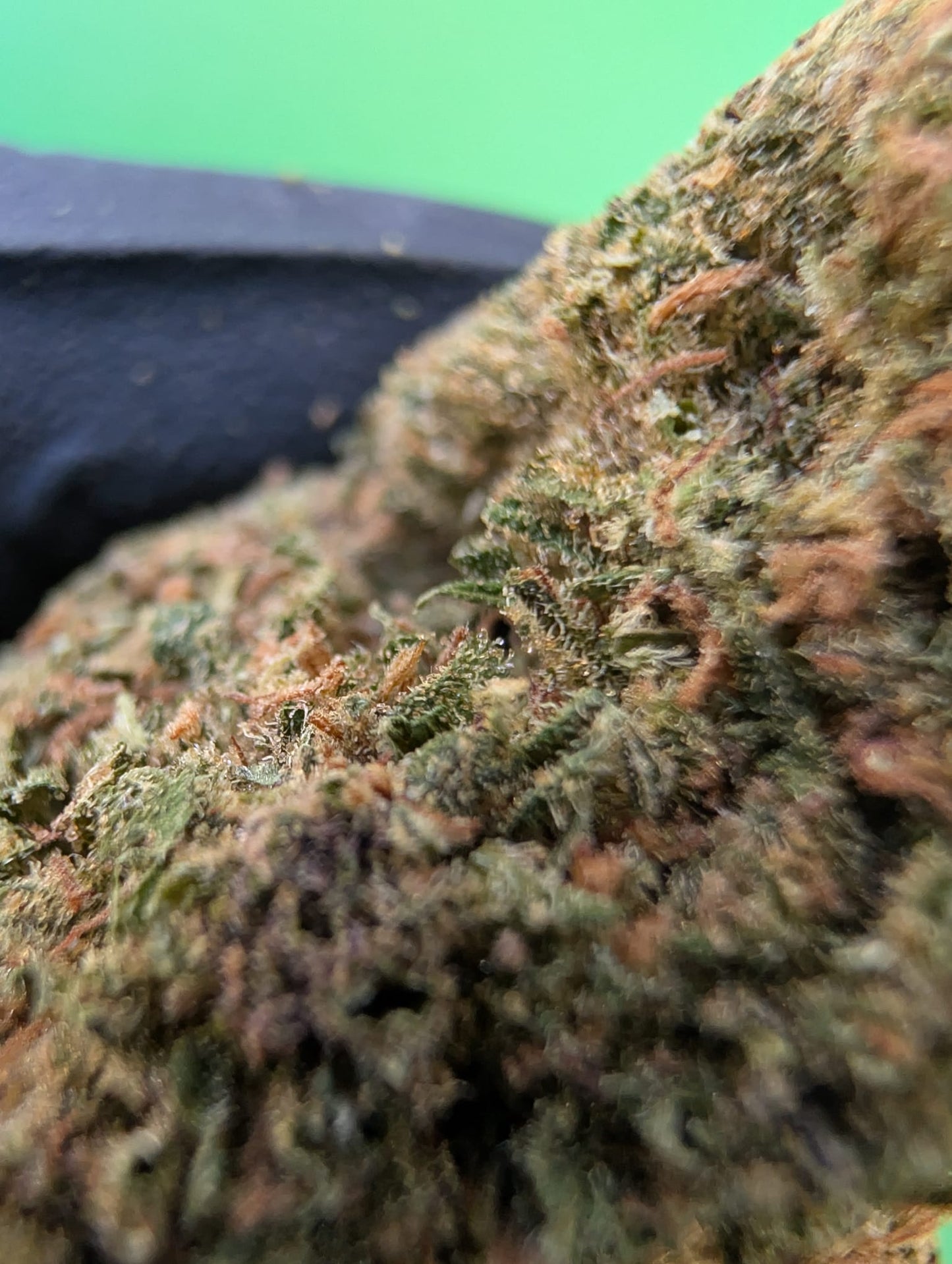 PURPLE GELATO