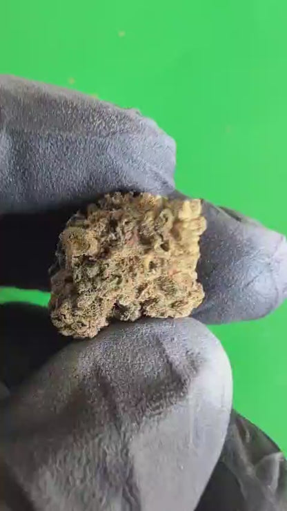 BUBBLE GUM