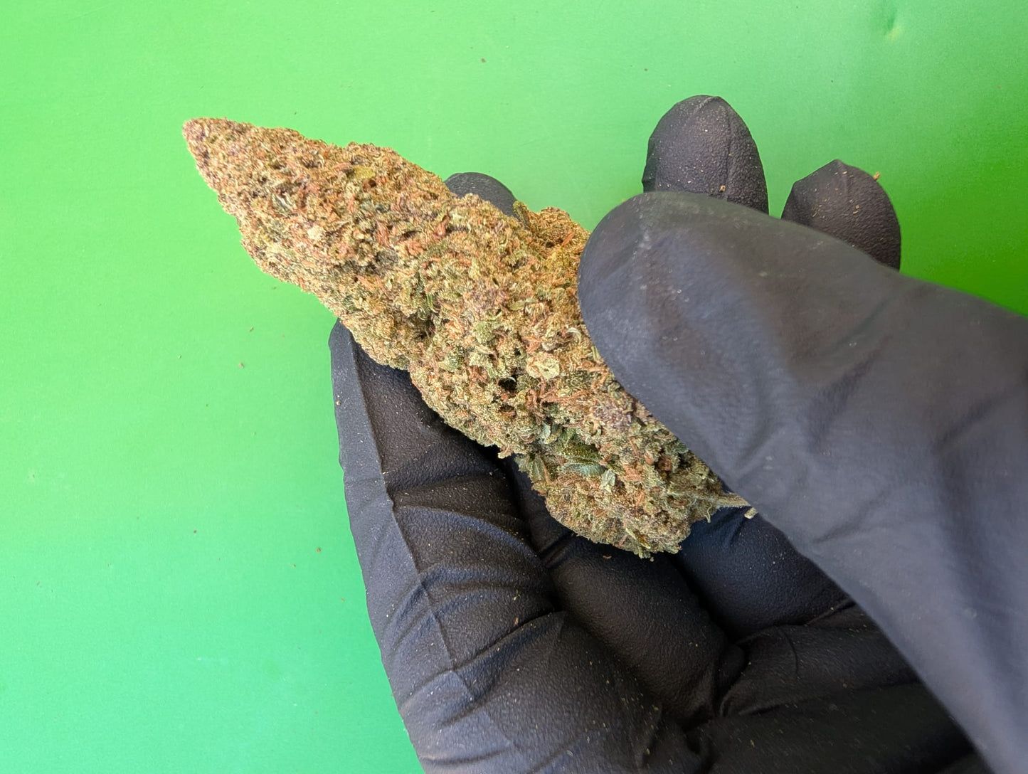 PURPLE GELATO