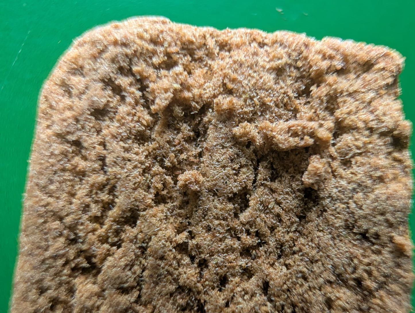 POLLEN MAVERICK
