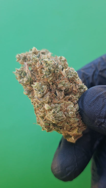 Gorilla glue