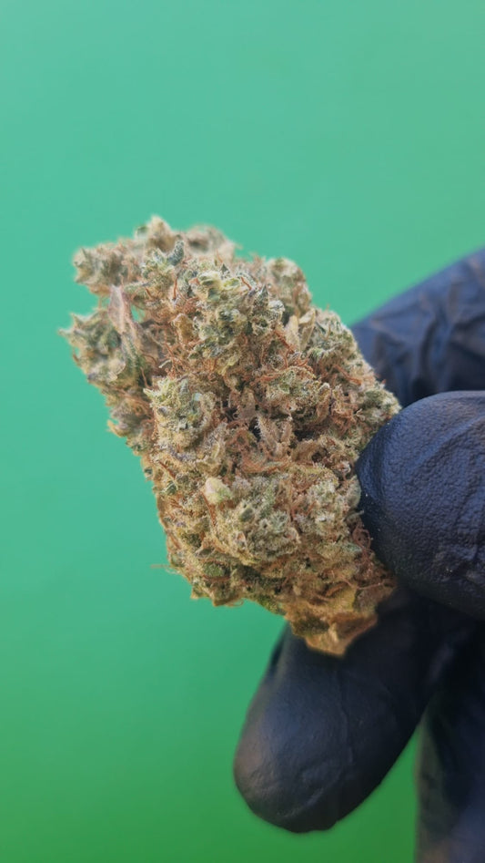 Gorilla glue